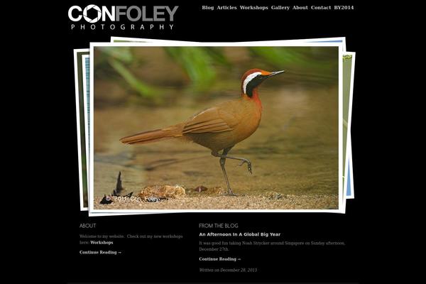 confoley.com site used Con