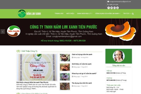 Sahifa theme site design template sample