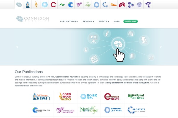 irn WordPress theme, websites list used irn theme irn theme websites examples