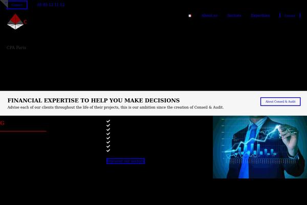 WordPress website example screenshot