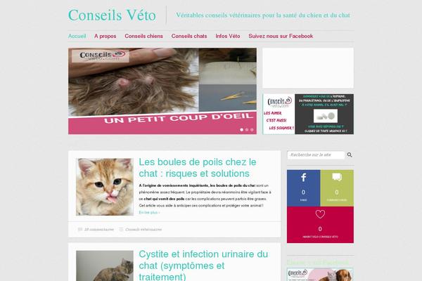 conseils-veto.com site used Conseils-veto