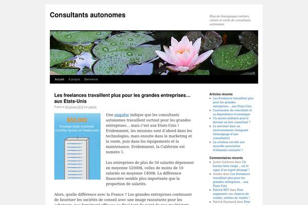 Twenty Ten theme site design template sample