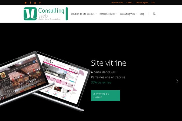 Salient theme site design template sample