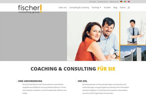 consultingfischer.com site used Divi_child_js