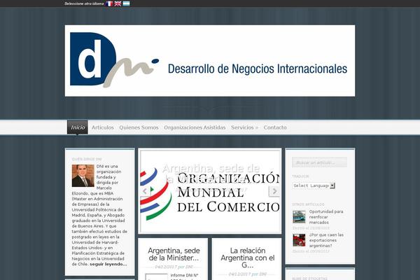 consultoradni.com site used Magnificent2