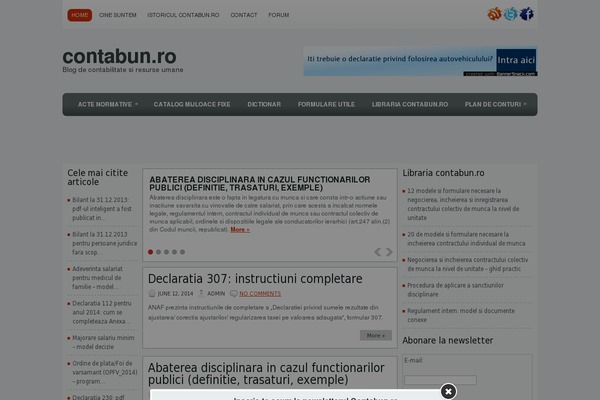 contabun.ro site used Lined