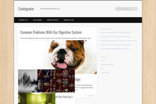 WordPress website example screenshot
