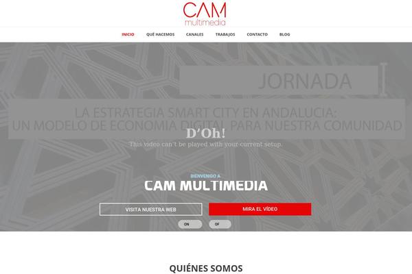 Salient theme site design template sample