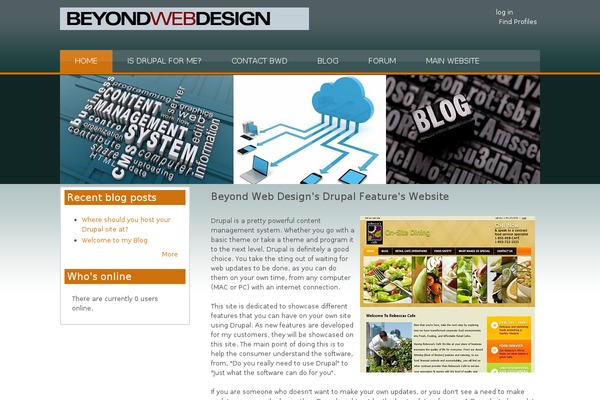 content-management-systems-boston.com site used Formation