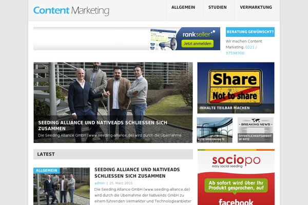Point theme site design template sample