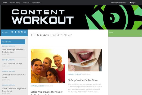 Hueman theme site design template sample