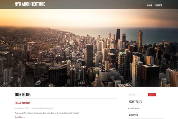 Precious Lite theme site design template sample