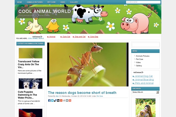 doreta WordPress theme, websites list used doreta theme doreta theme websites examples