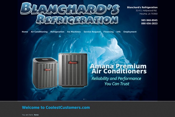 coolestcustomers.com site used Cool17