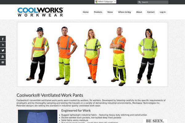 Virtue Premium theme site design template sample