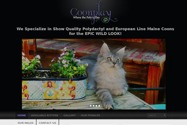 coonplaymainecoons.com site used Theme42117