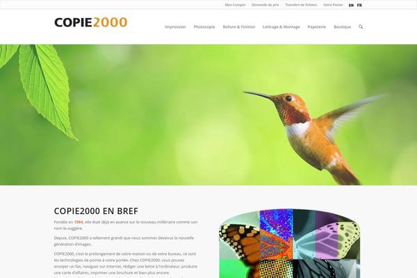 Enfold theme site design template sample