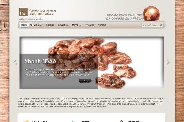 copper.co.za site used TheProfessional