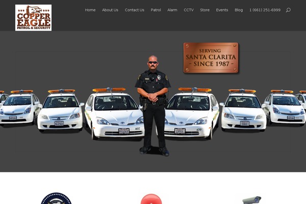 Divi theme site design template sample