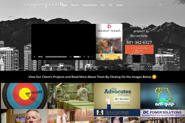 Salient theme site design template sample