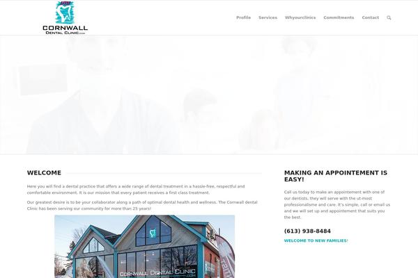 Enfold theme site design template sample