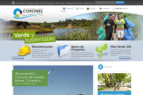 coronel.cl site used Coronel