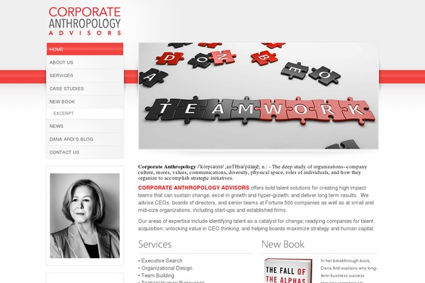 corporateanthropologyadvisors.com site used Rttheme10