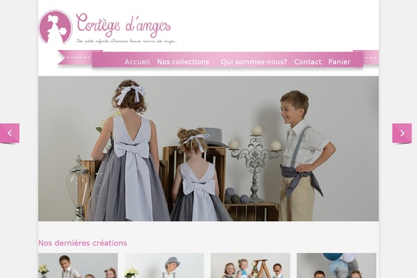 Salient theme site design template sample