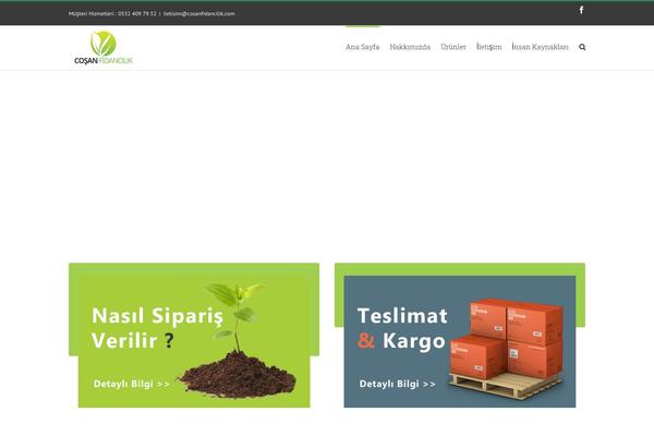 Site using Fusion-builder plugin