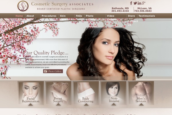 cosmetic-surgery theme websites examples