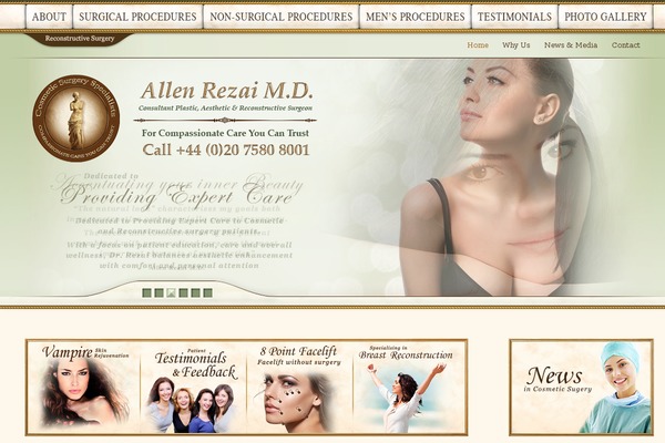 WordPress website example screenshot