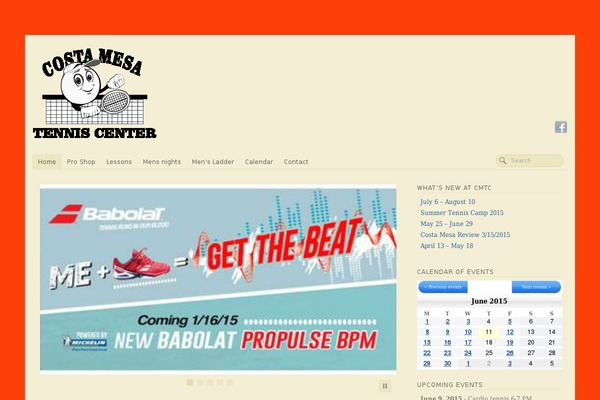 PageLines theme site design template sample