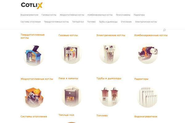 Site using Autoptimize plugin