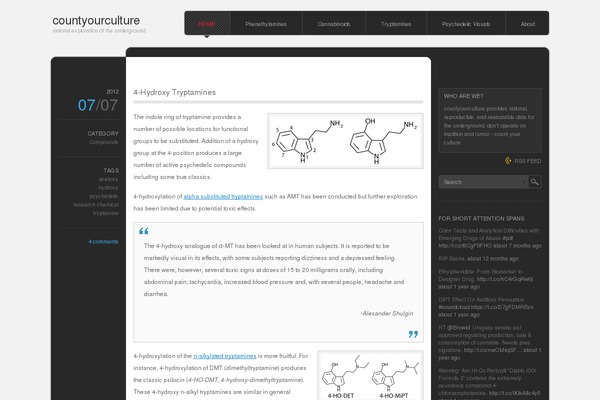 monochrome theme site design template sample