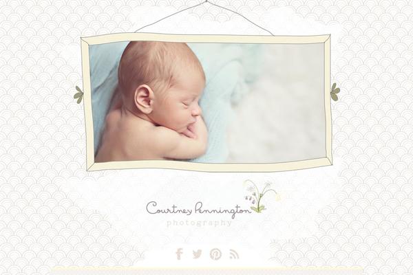 Prophoto4 theme site design template sample