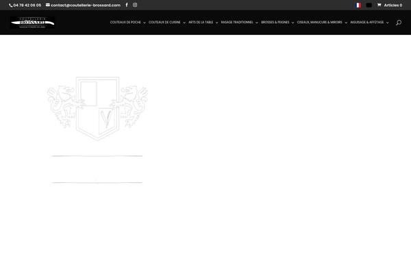 Divi theme site design template sample