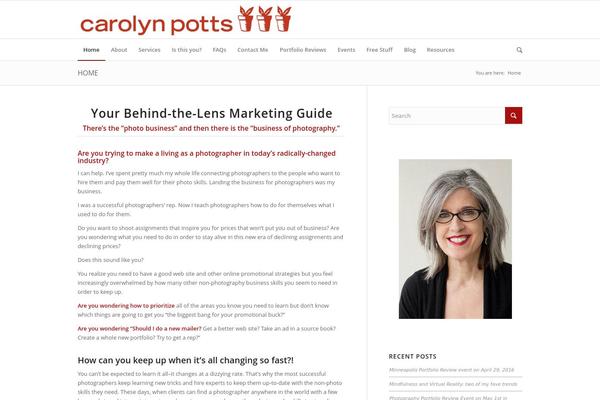 WordPress website example screenshot