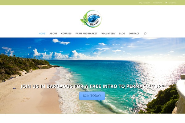 Divi theme site design template sample