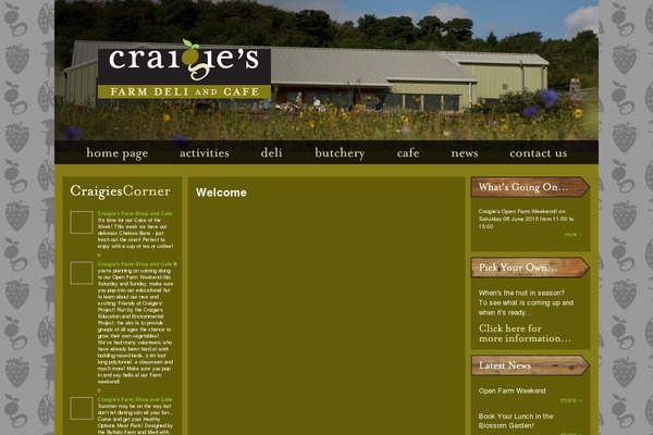 Orga theme site design template sample