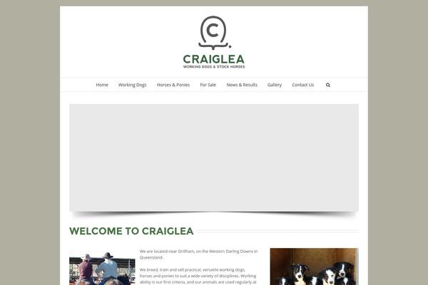Avada theme site design template sample