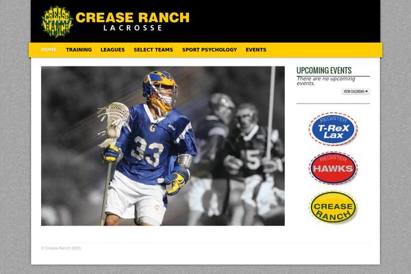 Sports-team-theme theme site design template sample