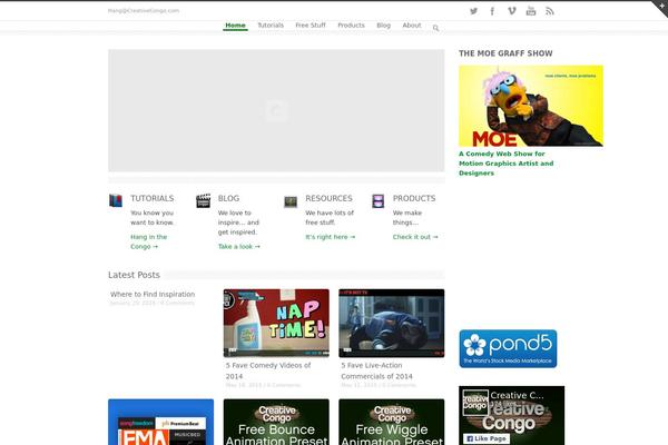 WordPress website example screenshot