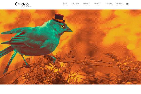 Ariva theme site design template sample