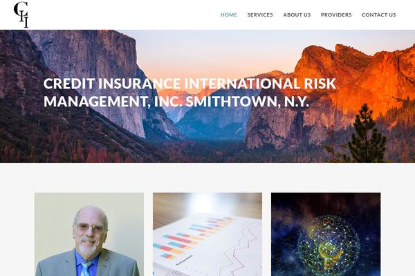 Bridge Child theme site design template sample