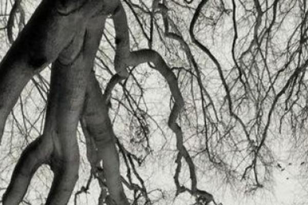 Twenty Seventeen theme site design template sample