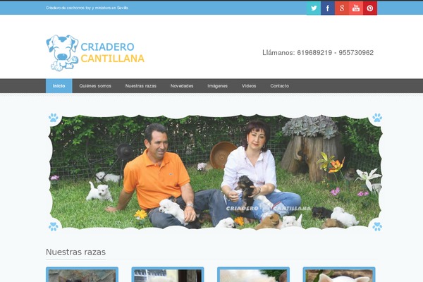 WordPress website example screenshot