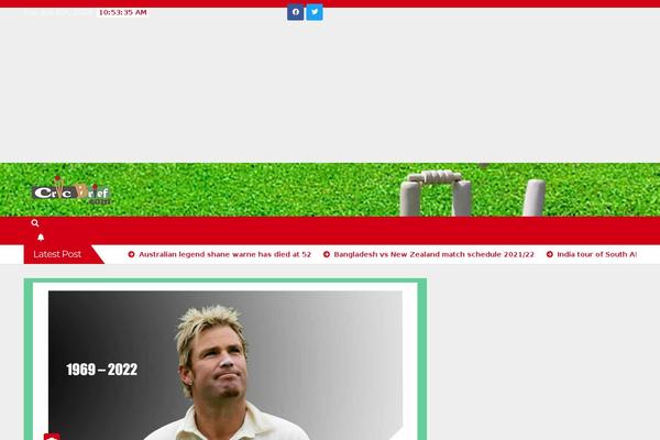 Newsberg theme site design template sample