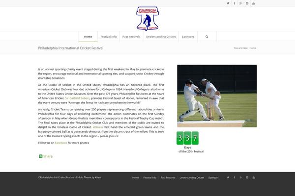 Enfold theme site design template sample