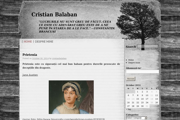 cristianbalaban.ro site used Rustic