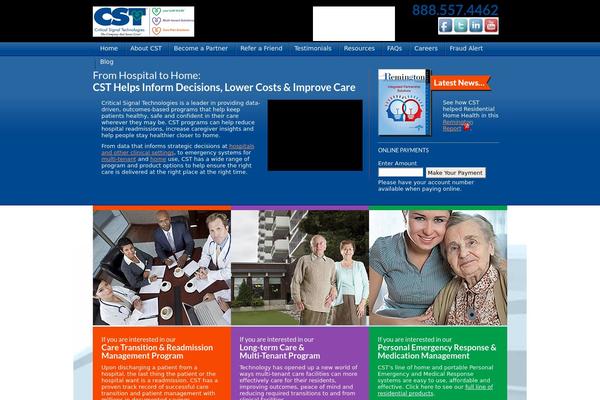 Cst theme site design template sample